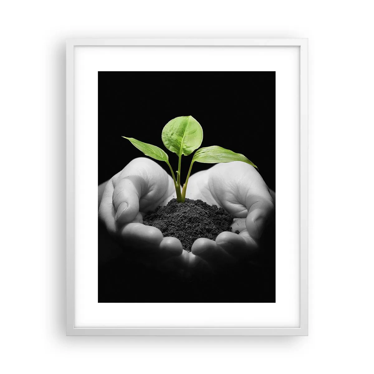 Plakat i hvid ramme - Jeg elsker naturen, jeg beskytter den - 40x50 cm