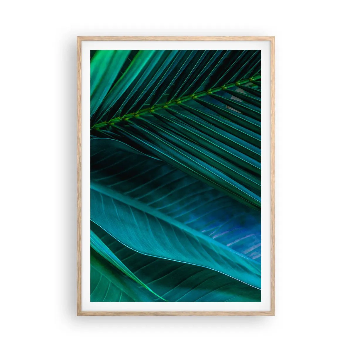 Plakat i ramme af lyst egetræ - Anatomi af en grøn - 70x100 cm