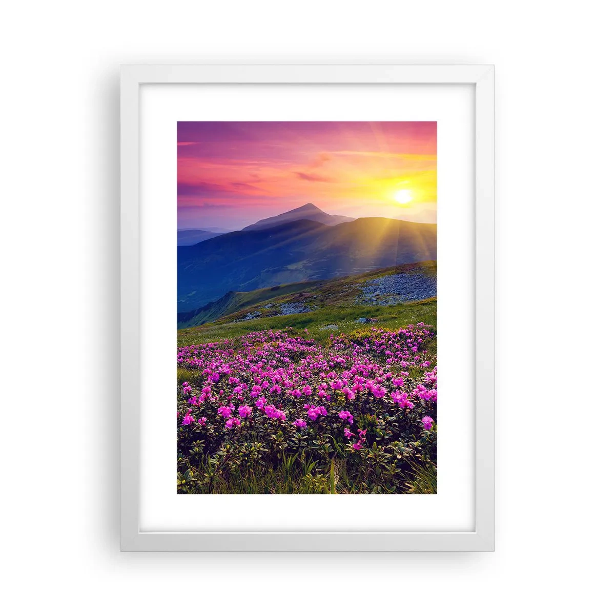 Plakat i hvid ramme - ... Og rundt omkring dufter det af fyrretræer og krydderurter - 30x40 cm