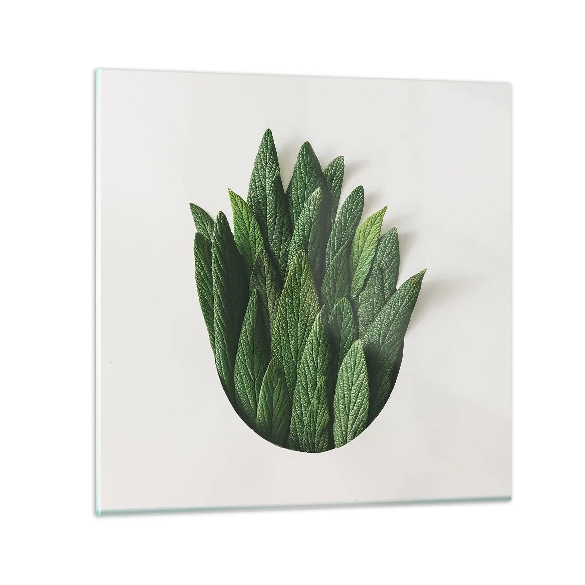 Billede på glas - Uhæmmet nysgerrighed - 70x70 cm