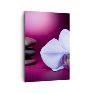 Lærredstryk - Billede på lærred - En undersøgelse af friskhed i lilla - 50x70 cm