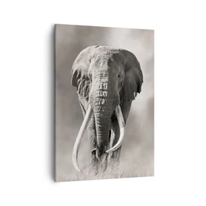 Lærredstryk - Billede på lærred - Afrikansk patriark - 50x70 cm