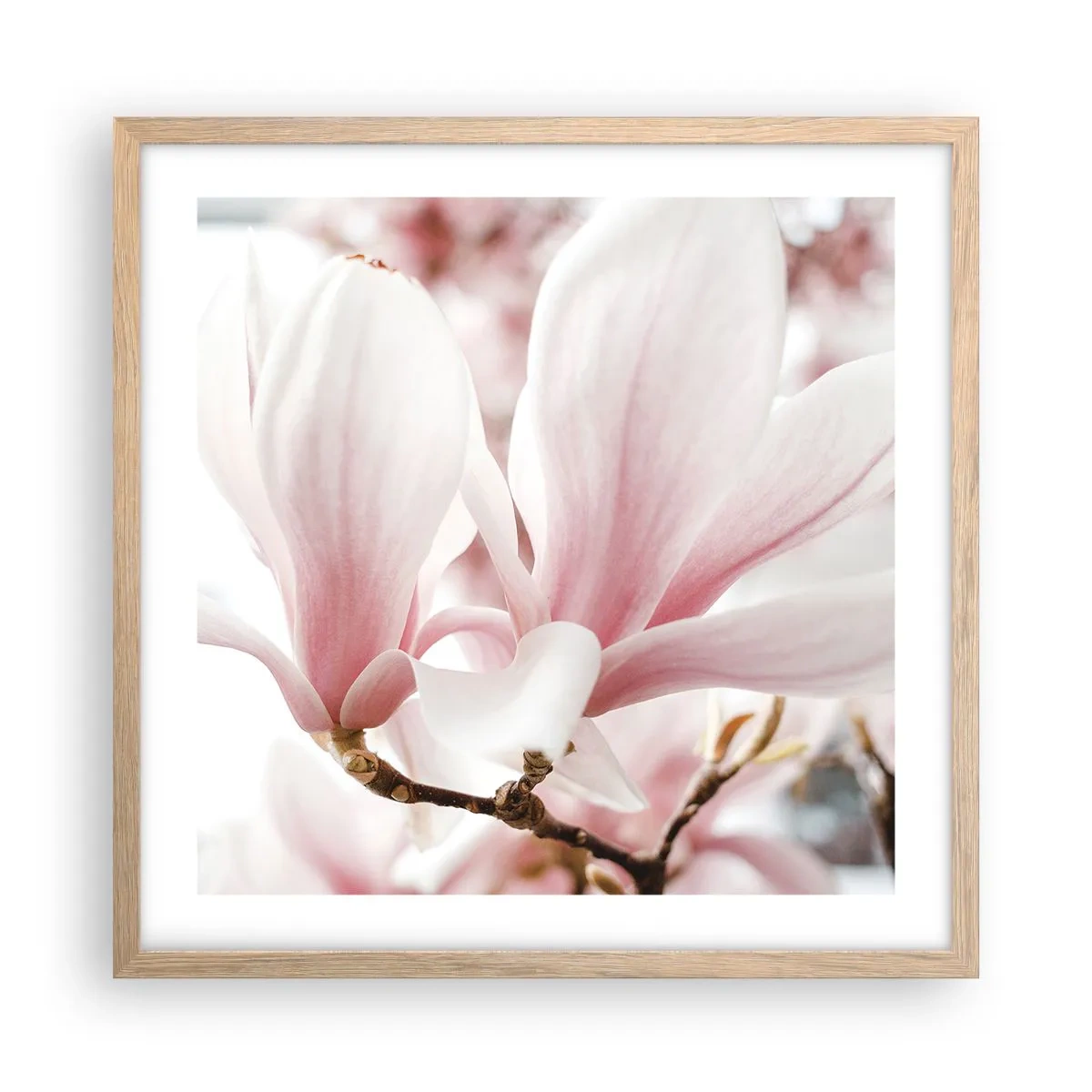Plakat i ramme af lyst egetræ - Ømhedens umådelighed - 50x50 cm