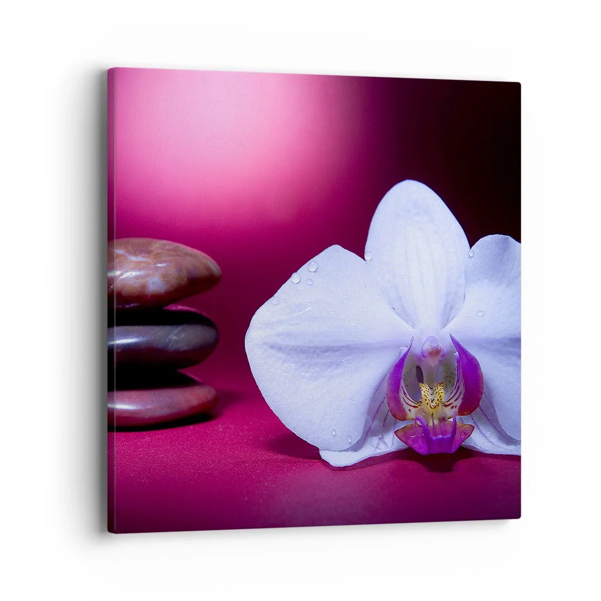 Lærredstryk - Billede på lærred - En undersøgelse af friskhed i lilla - 40x40 cm