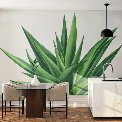 Fototapet på mål Premium Sand - Grøn - styrke - liv - Plante, Aloe, Botanik