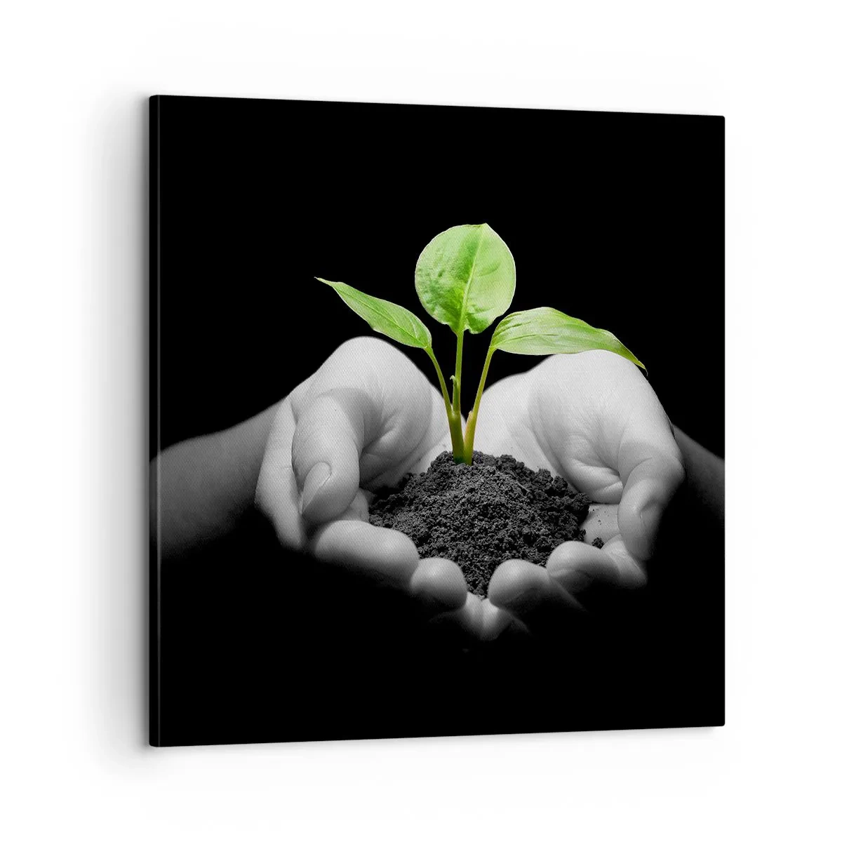 Lærredstryk - Billede på lærred - Jeg elsker naturen, jeg beskytter den - 60x60 cm