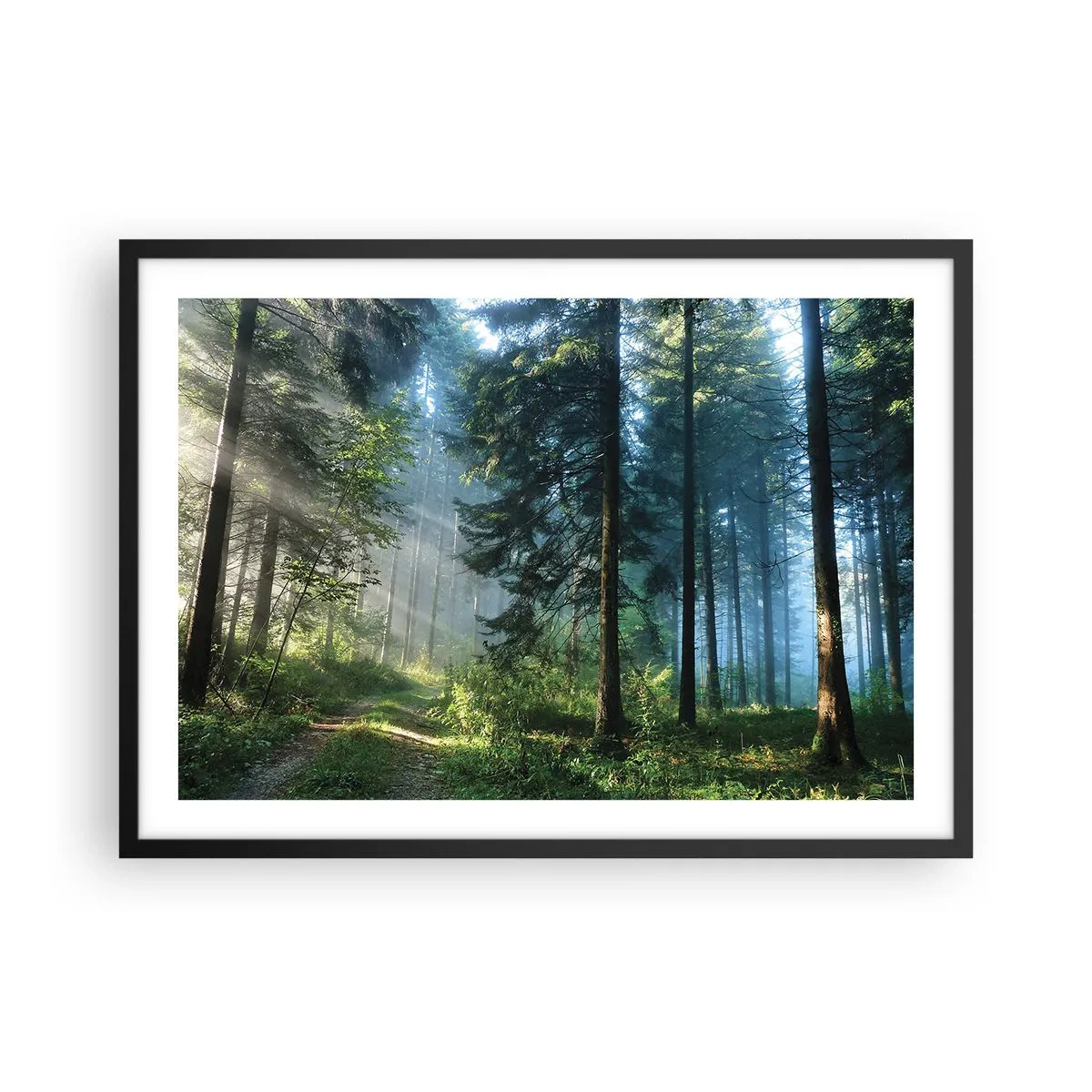 Plakat i sort ramme - Strålende om morgenen - 70x50 cm