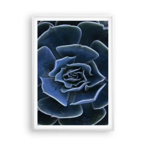 Plakat i hvid ramme - Ørkenblomst - 70x100 cm