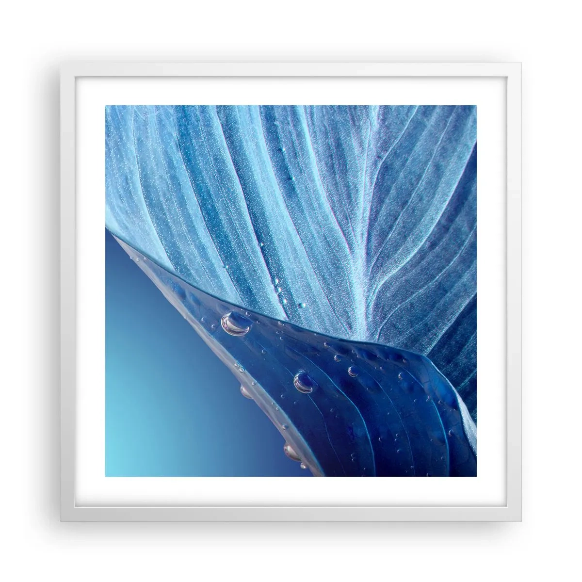 Plakat i hvid ramme - Skjulte dråber af blåt - 50x50 cm