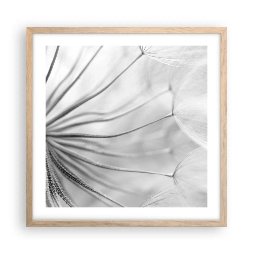 Plakat i ramme af lyst egetræ - Blæsende drager - 50x50 cm