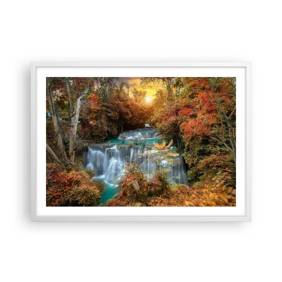 Plakat i hvid ramme - Skovens skjulte skat - 70x50 cm