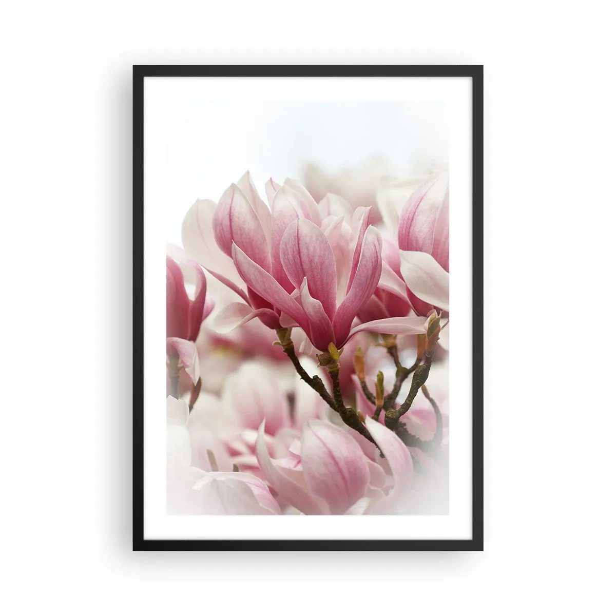 Plakat i sort ramme - Forårsblomster - 50x70cm - Forårsblomster - Moderne vægdekoration til stue og soveværelse ARTTOR