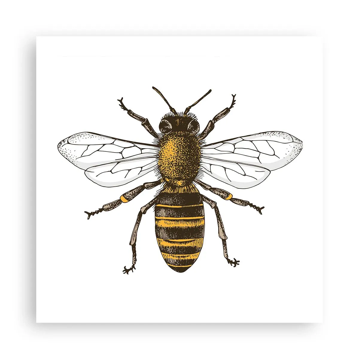 Plakat - Smuk og god - 50x50 cm