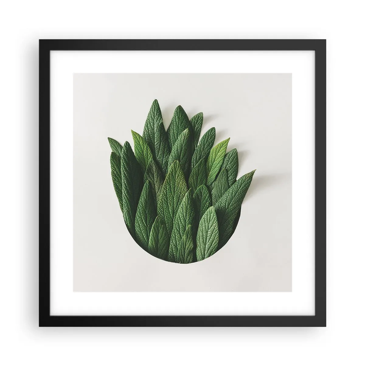 Plakat i sort ramme - Uhæmmet nysgerrighed - 40x40 cm