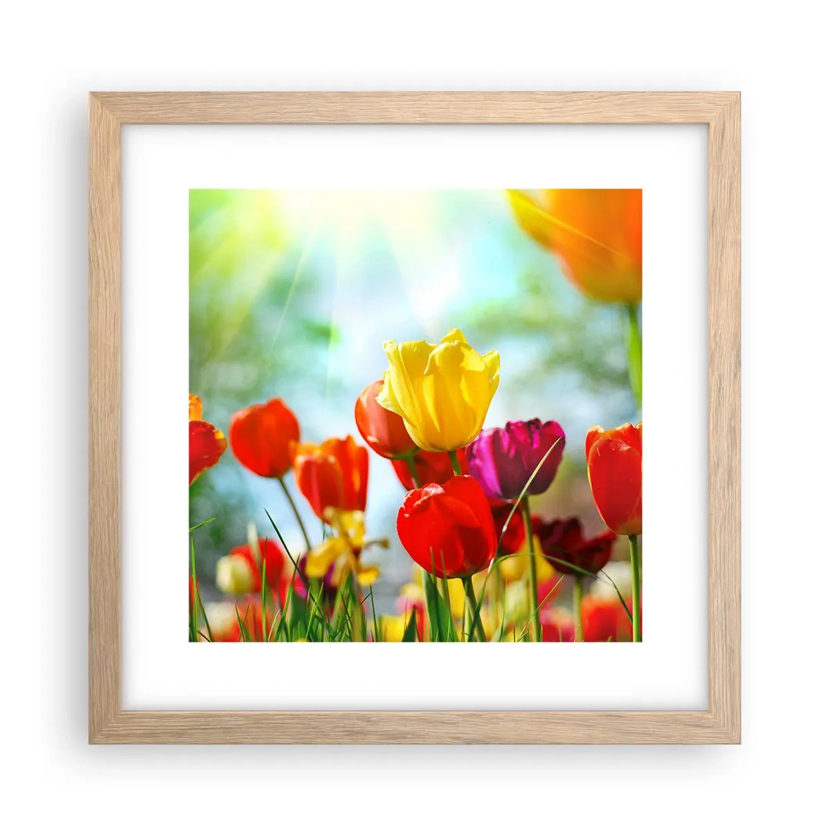Plakat i ramme af lyst egetræ - Alle solens farver - 30x30 cm