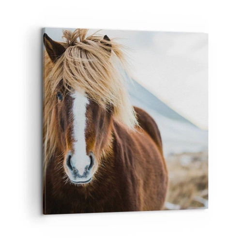 Lærredstryk - Billede på lærred - Kan du mærke friheden? - 50x50 cm