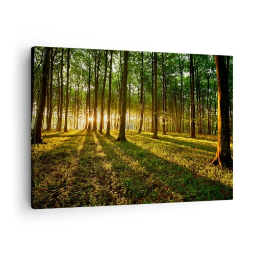 Lærredstryk - Billede på lærred - Den nedgående sol i løvskoven - 70x50cm - Fotografering af alle fjedre - Moderne vægdekoration til stue og soveværelse ARTTOR