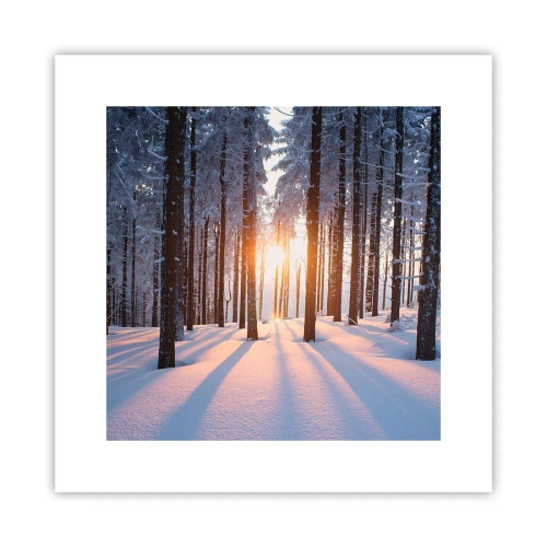 Plakat - Klart i sort og hvidt - 30x30 cm