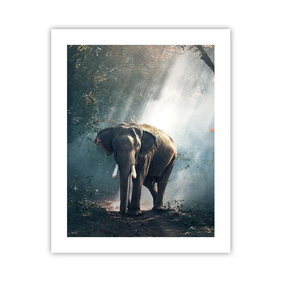 Plakat - En fredelig gåtur - 40x50 cm