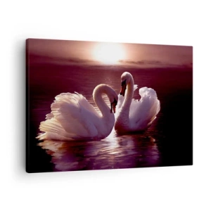 Lærredstryk - Billede på lærred - To svaner på en rolig sø ved solnedgang - 70x50cm - Indtil døden skiller os ad - Moderne vægdekoration til stue og soveværelse ARTTOR