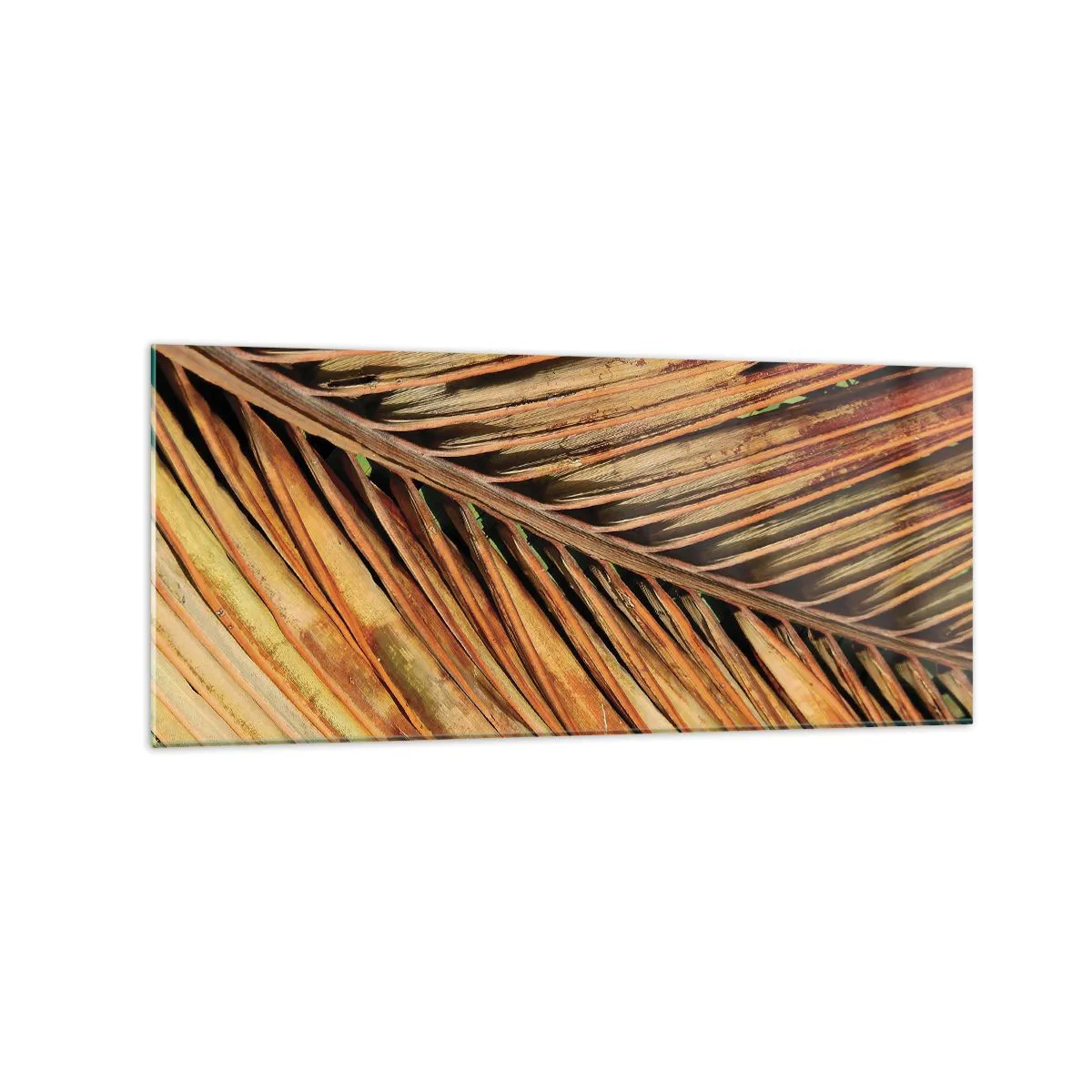 Billede på glas - Kokosnød guld - 120x50 cm