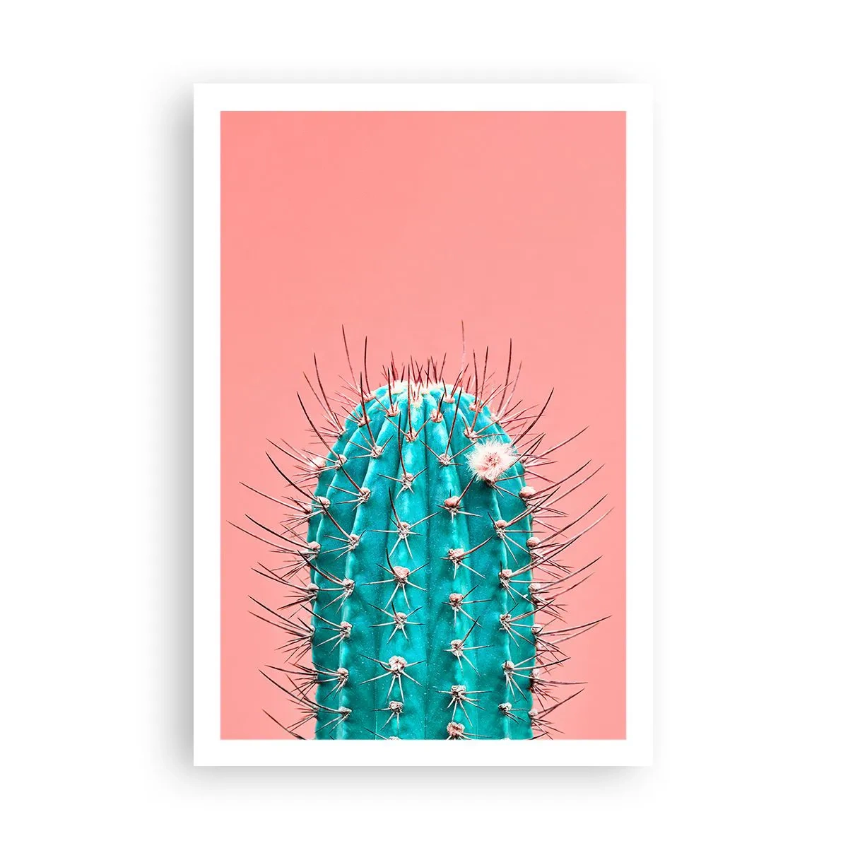 Plakat - Bare se - 61x91 cm
