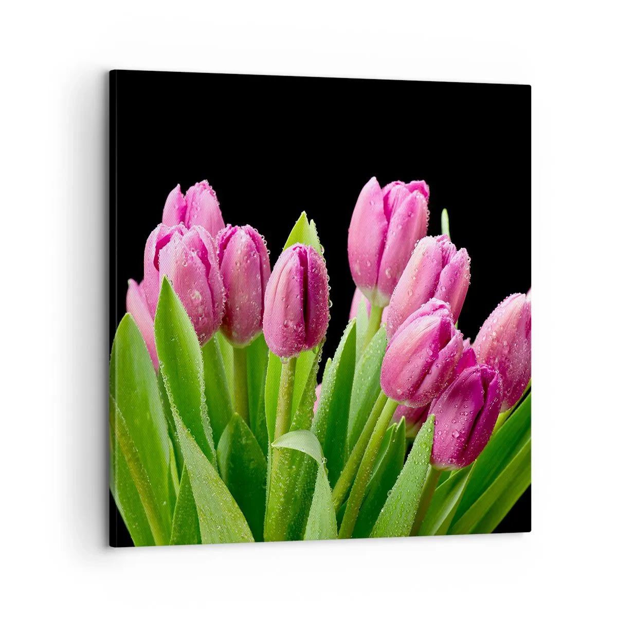 Lærredstryk - Billede på lærred - Forårets lilla glæde - 60x60 cm