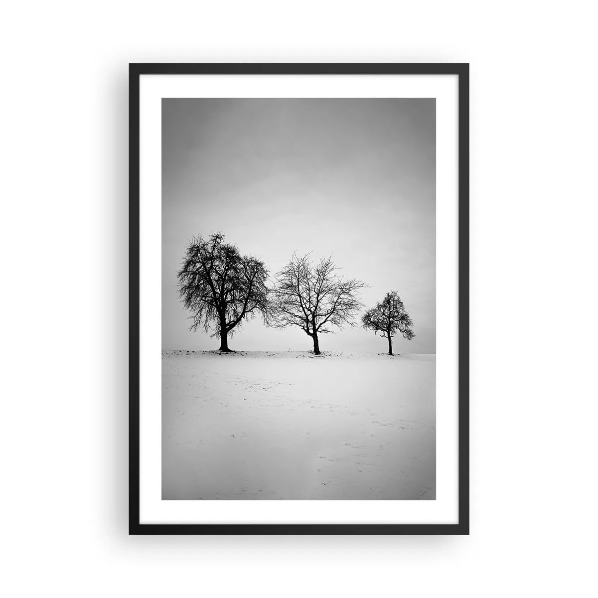 Plakat i sort ramme - Tre træer i en snedækket mark i sort-hvid - 50x70cm - Hvad drømmer de om? - Moderne vægdekoration til stue og soveværelse ARTTOR