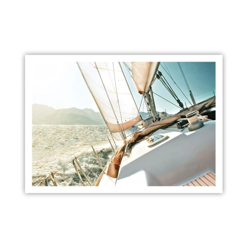 Plakat - Under fulde sejl - 100x70 cm