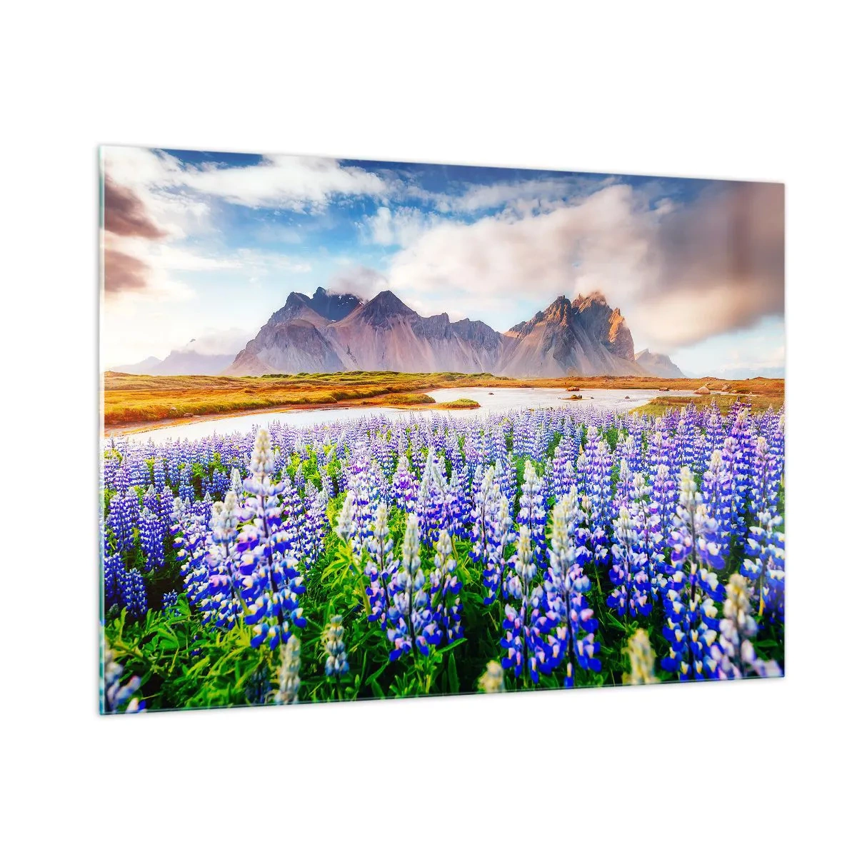 Billede på glas - Styrke og strenghed ved siden af blidhed - 100x70 cm