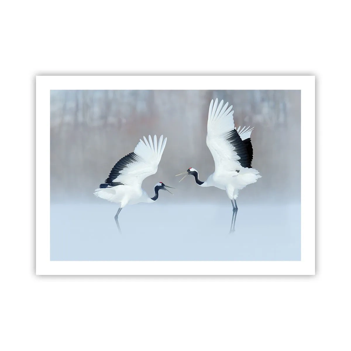 Plakat - Danser i tågen - 70x50 cm