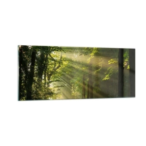 Billede på glas - Øjeblik i skoven - 100x40 cm