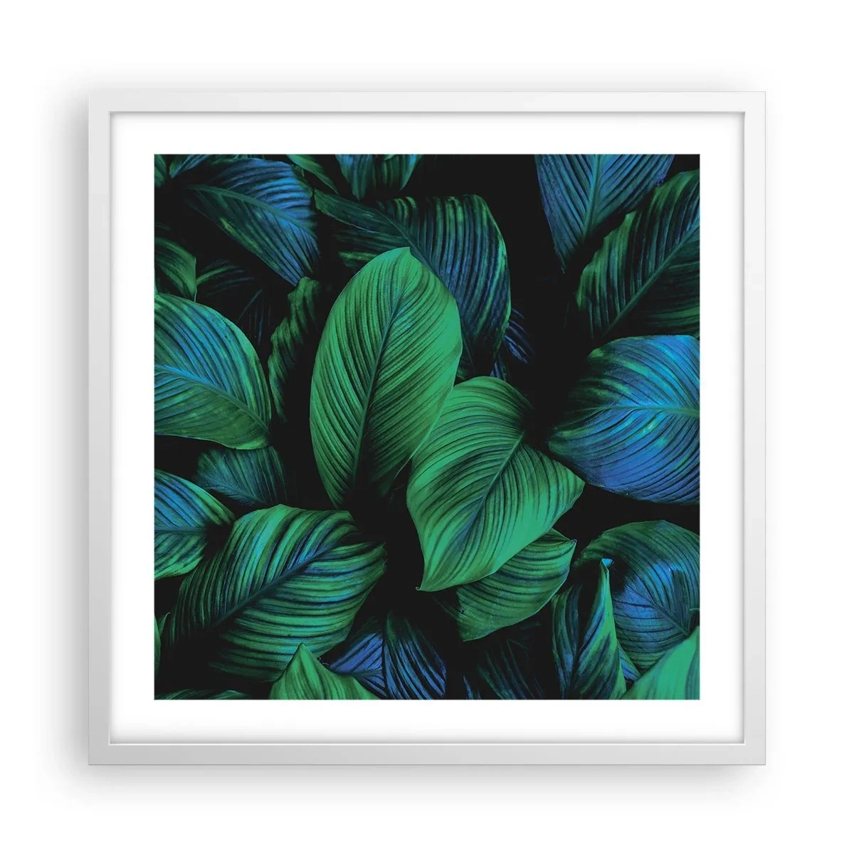 Plakat i hvid ramme - I den grønne flok - 50x50 cm