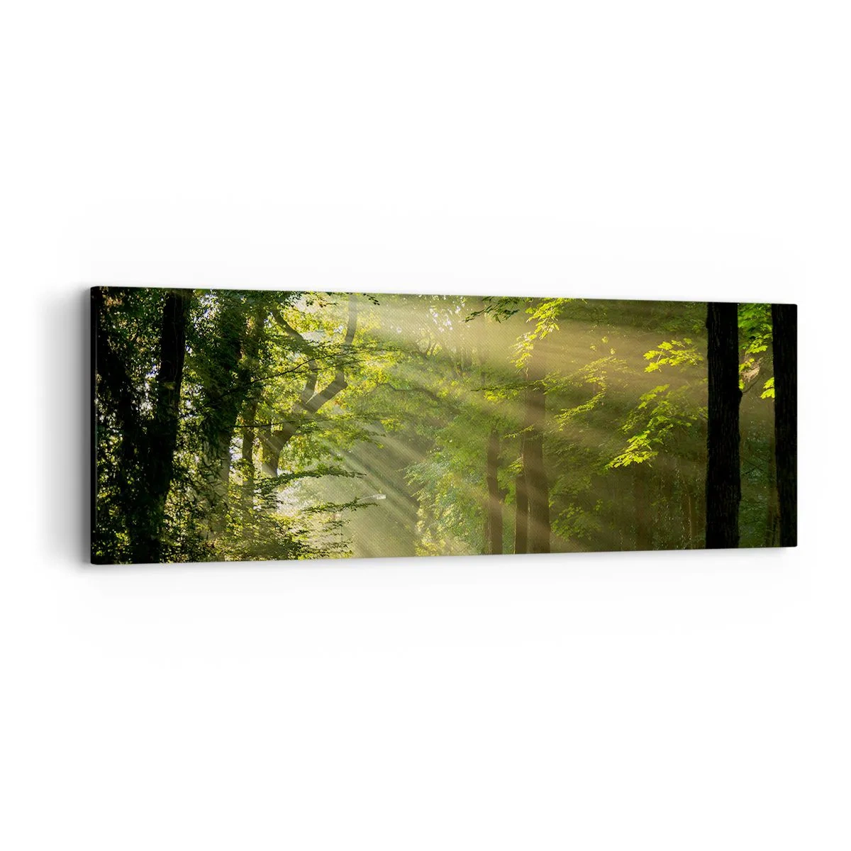 Lærredstryk - Billede på lærred - Øjeblik i skoven - 90x30 cm