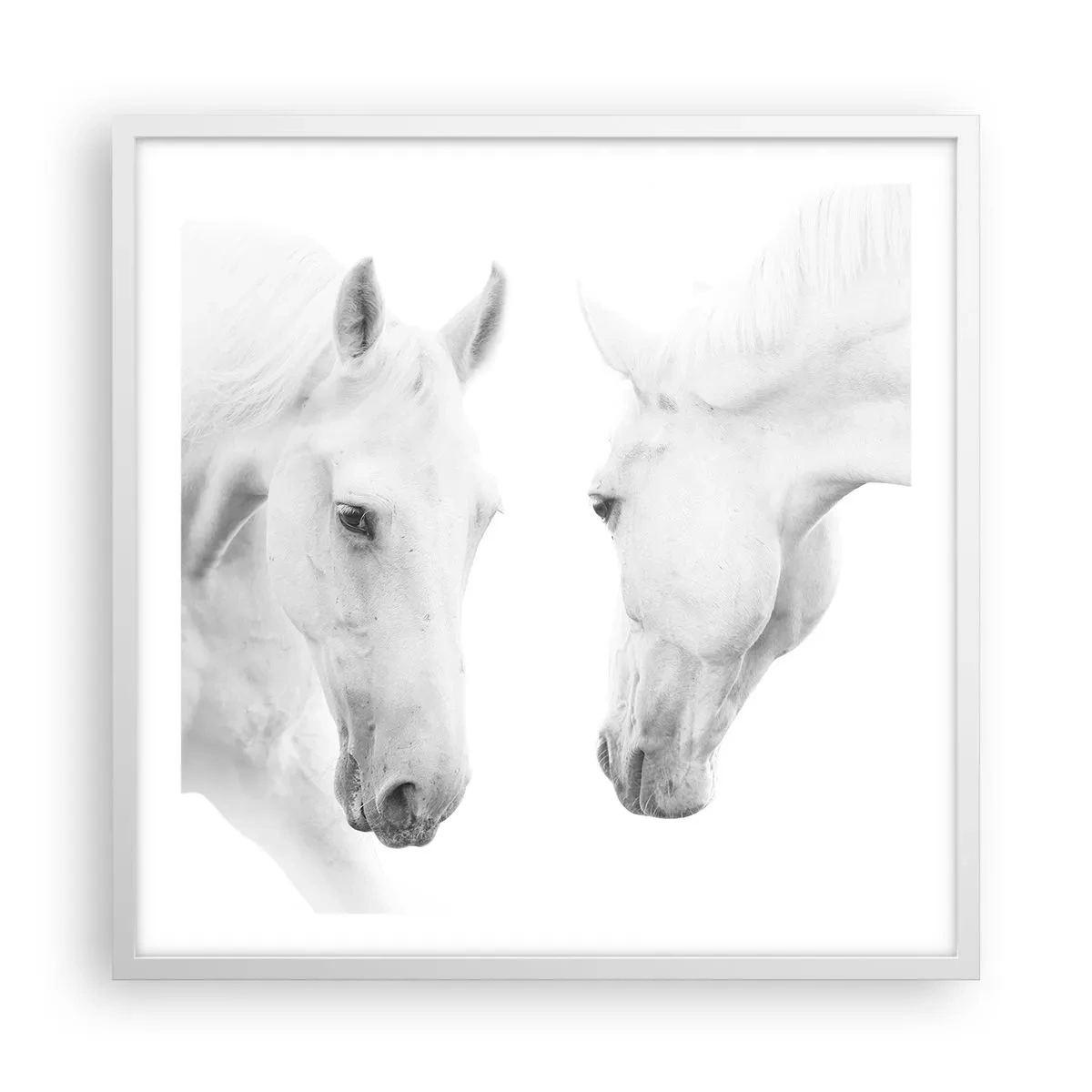 Plakat i hvid ramme - Er dette venskab...? - 60x60 cm