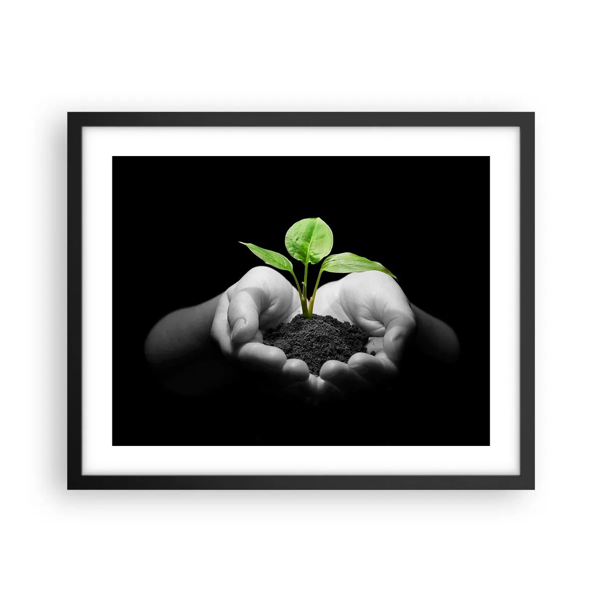 Plakat i sort ramme - Jeg elsker naturen, jeg beskytter den - 50x40 cm