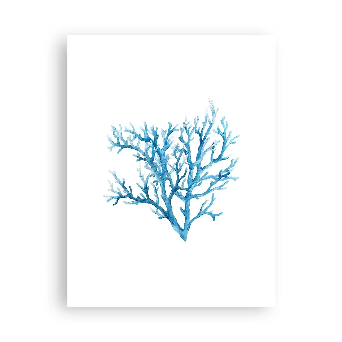 Plakat - Marint filigran - 30x40 cm