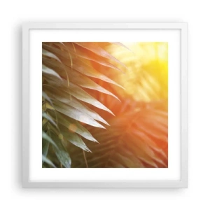 Plakat i hvid ramme - Morgen i junglen - 40x40 cm
