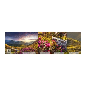 Fototapet Prøve Standard Eco - Friskheden af en morgen i bjergene - Landskab, Bjerge, Blomster - 100x30 cm