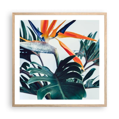 Plakat i ramme af lyst egetræ - Fuglebur - 60x60 cm
