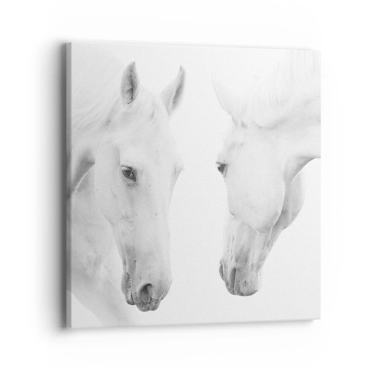 Lærredstryk - Billede på lærred - Er dette venskab...? - 40x40 cm