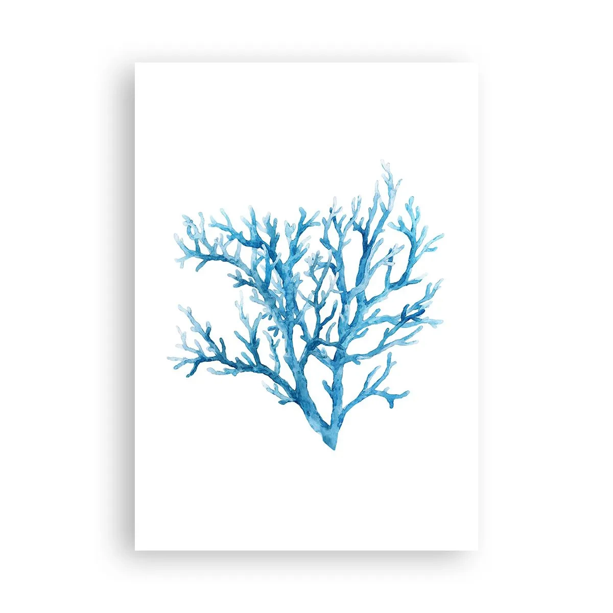 Plakat - Marint filigran - 70x100 cm