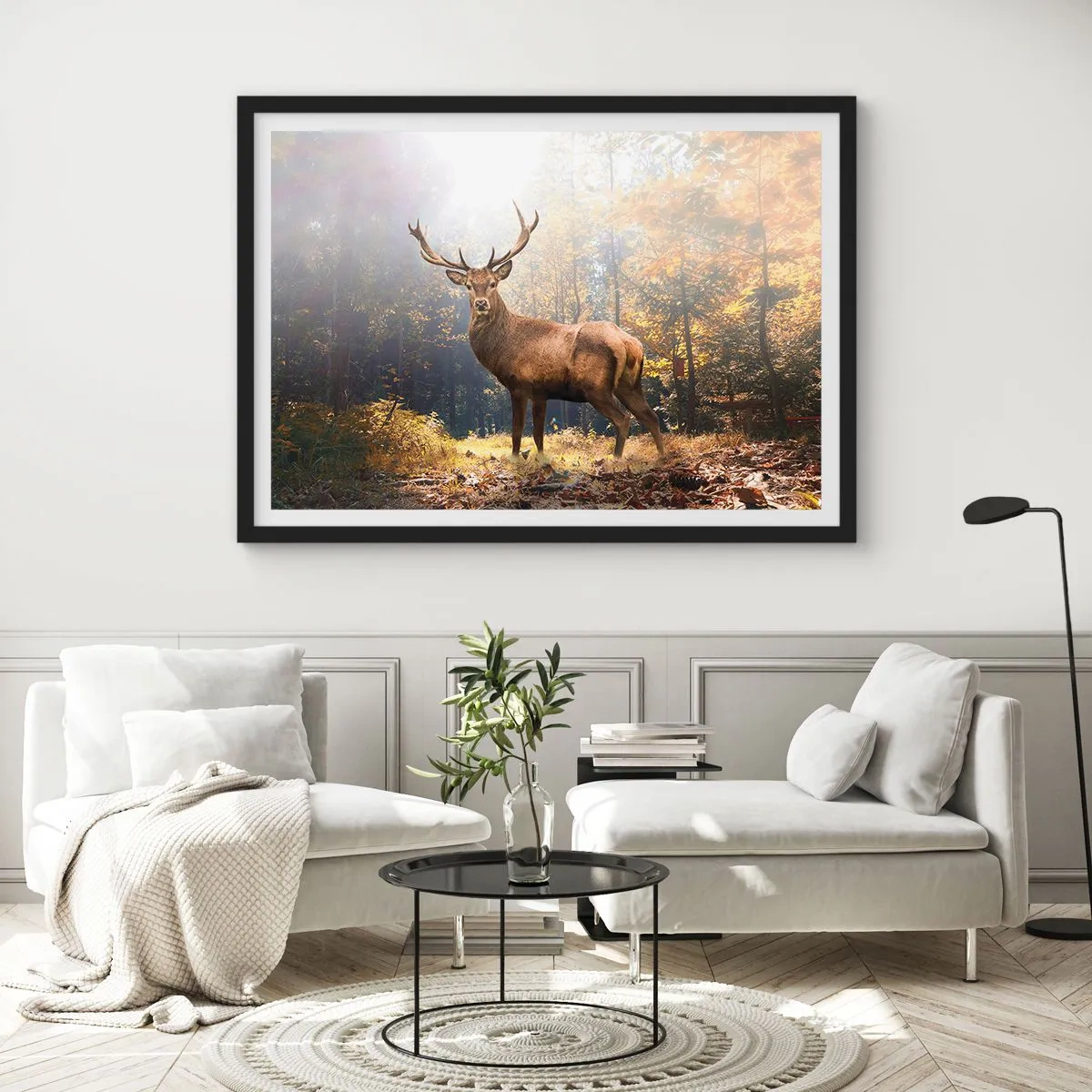 Plakat i sort ramme - I fuld majestæt - 91x61 cm