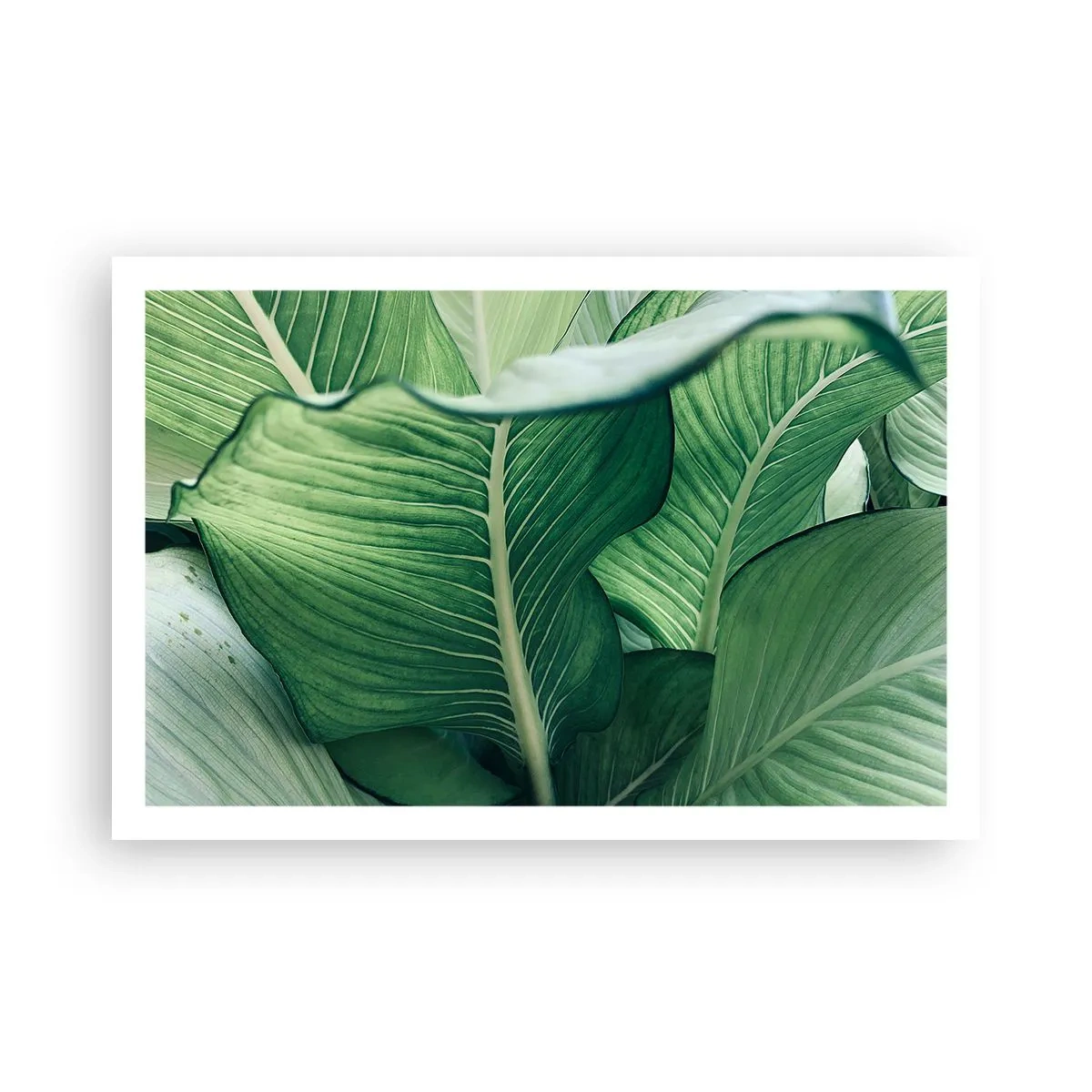 Plakat - Livet er intenst grønt - 91x61 cm