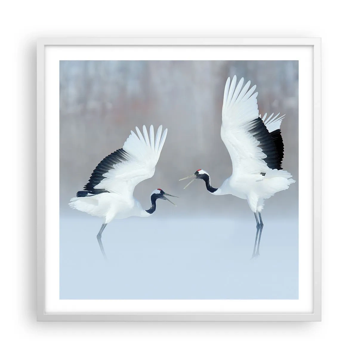 Plakat i hvid ramme - Danser i tågen - 60x60 cm