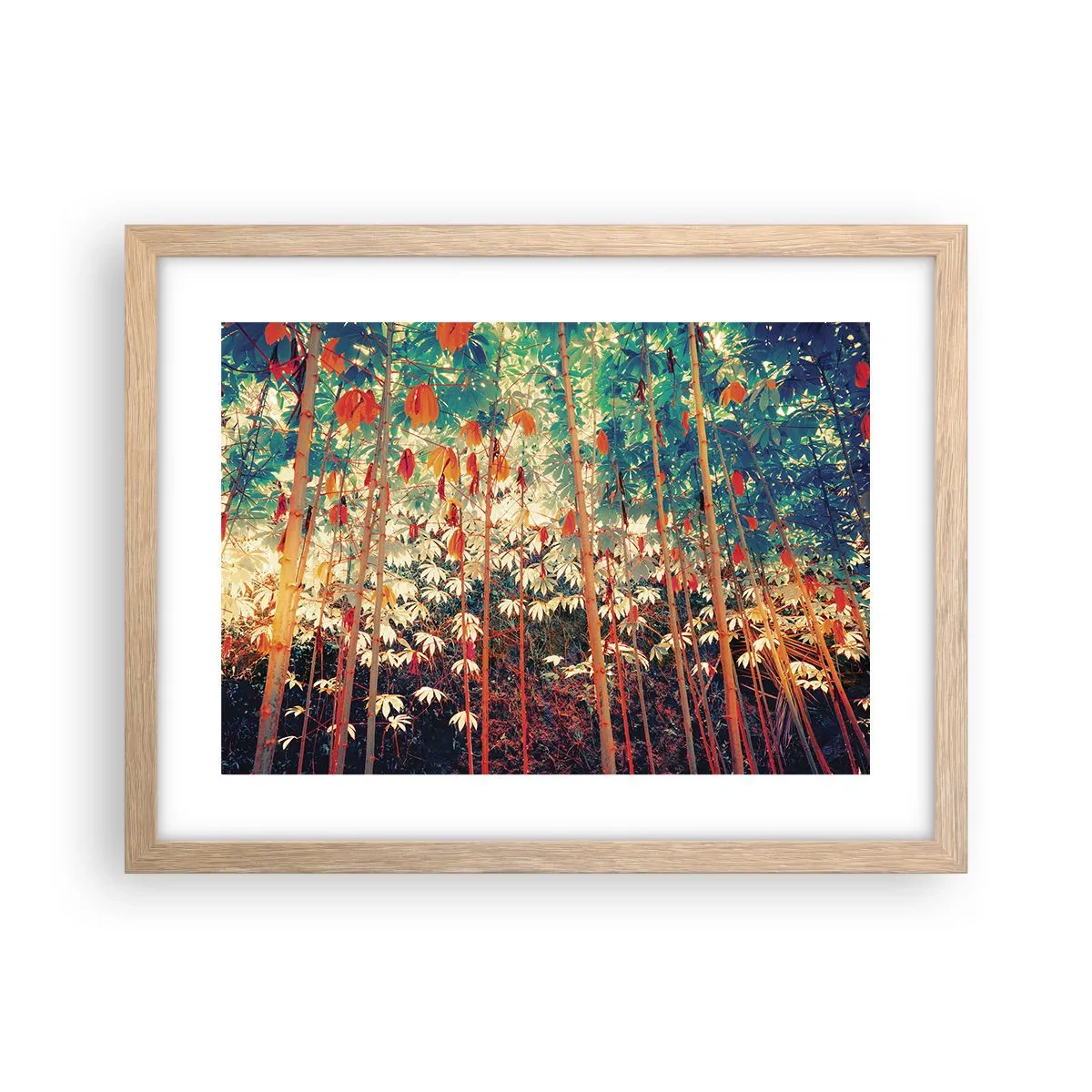 Plakat i ramme af lyst egetræ - Bladenes hemmelige liv - 40x30 cm