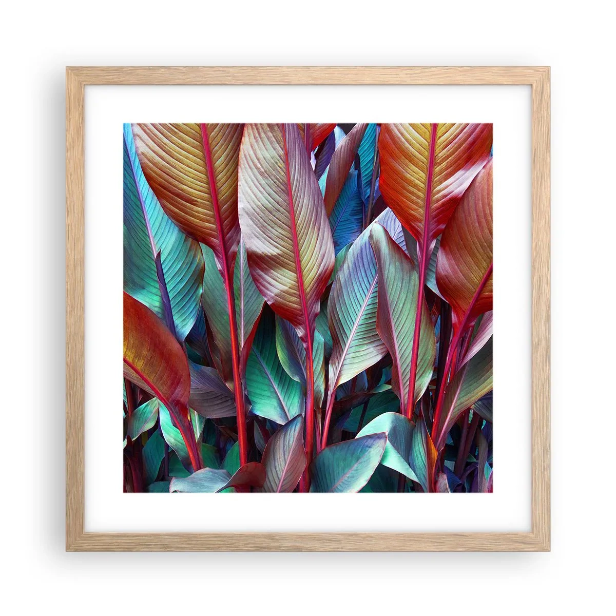 Plakat i ramme af lyst egetræ - Farverigt krat - 40x40 cm