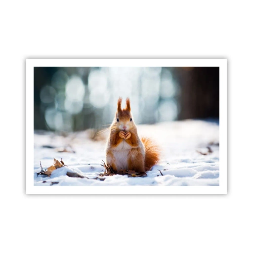 Plakat - Og hvad kigger du på? - 91x61 cm