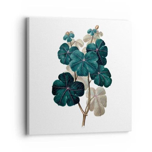 Lærredstryk - Billede på lærred - Fra et gammelt herbarium - 30x30 cm