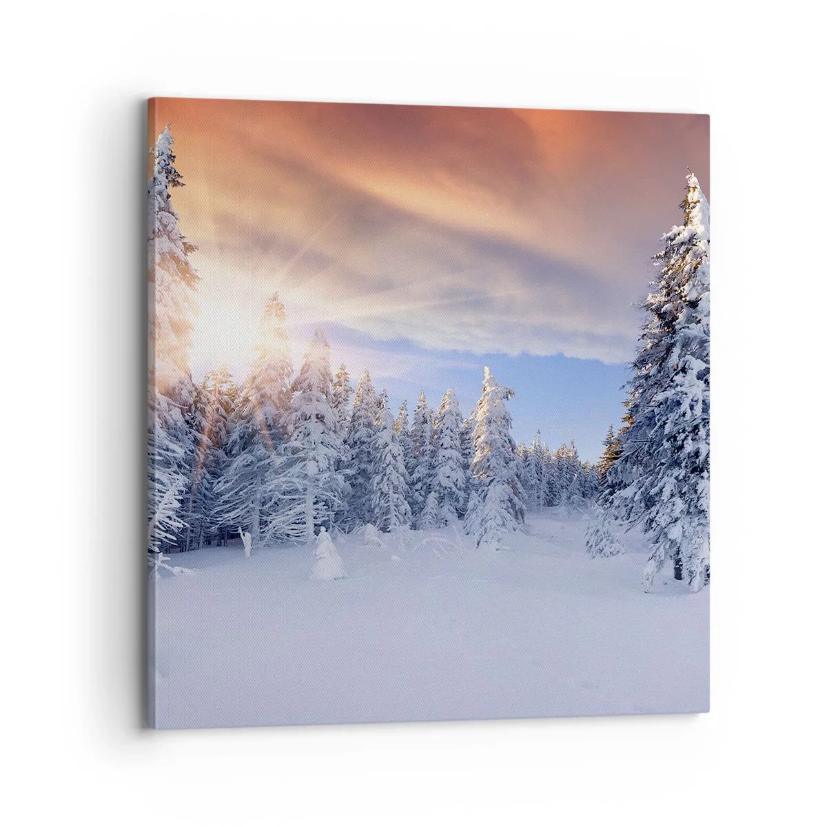 Lærredstryk - Billede på lærred - Et snedækket naturspektakel - 70x70 cm